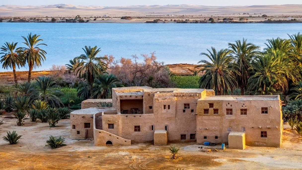 L'Oasis de Siwa.
