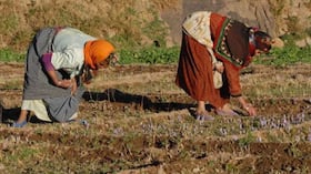 Economie | Retrouvez toute l'actualité du Maroc et du monde, en temps réel, sur le premier site d'information francophone au Maroc : www.le360.ma