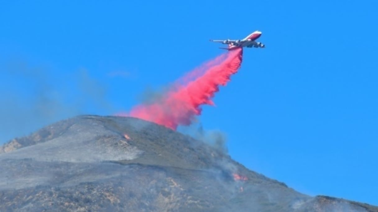 Plus de 700 pompiers sont arrivés en renfort de dix états de l'Ouest américain.
