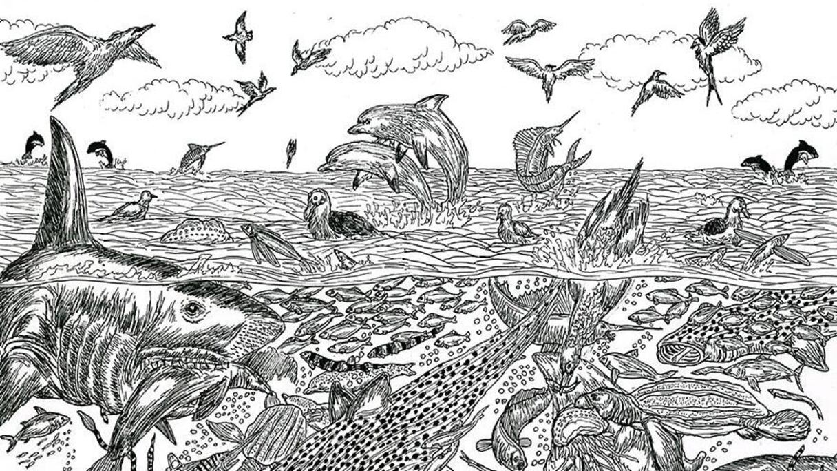 C'est en effet, dans une explosion de la diversité, toutes les étapes de l'apparition de la vie sur terre qui sont mises en scène.
