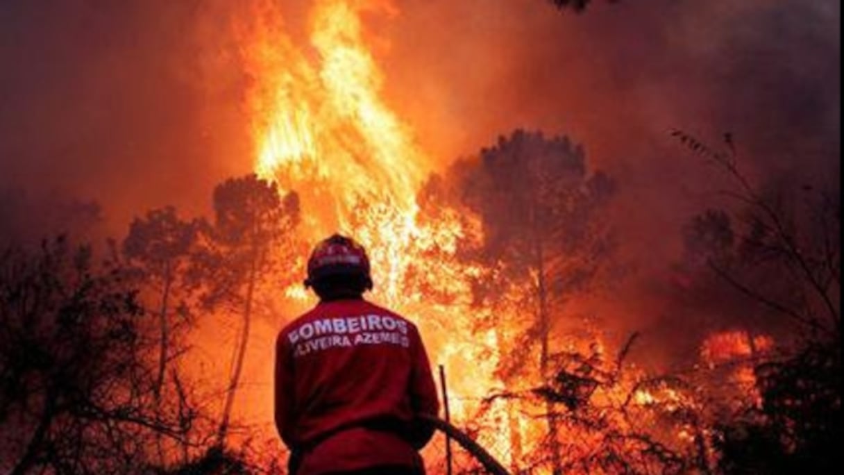 Des pompiers face à un incendie sur l'île portugaise de Madère, le 12 août 2016.
