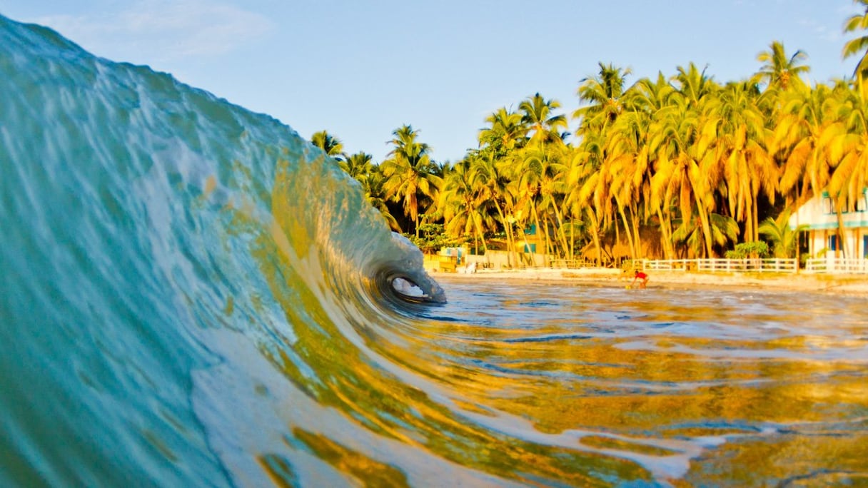 Surf sur les plages de Haïti
