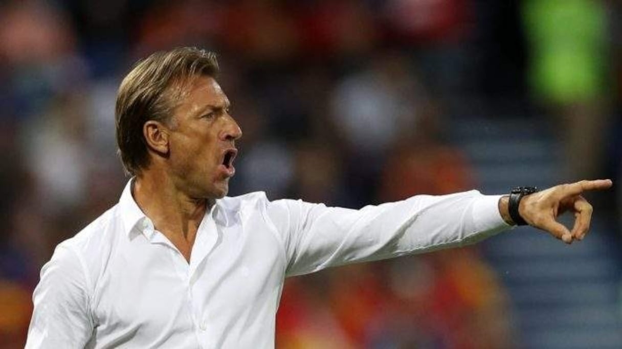 Hervé Renard, ancien sélectionneur des Lions de l'Atlas
