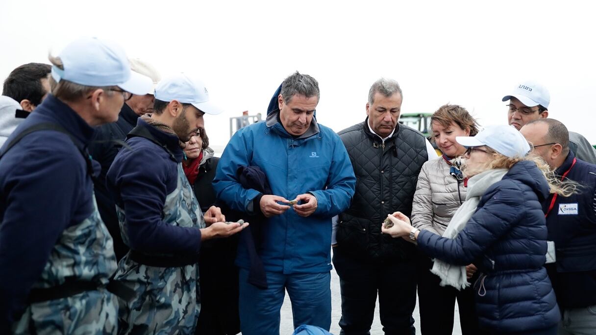 Lors de visites de projets d'investissement privé dans l'aquaculture effectués par Akhannouch à Dakhla.
