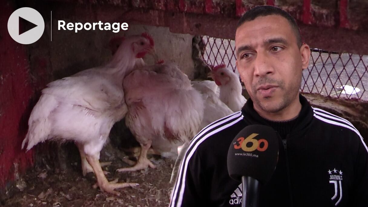 Hicham, vendeur de volaille, dans un marché à Casablanca.
