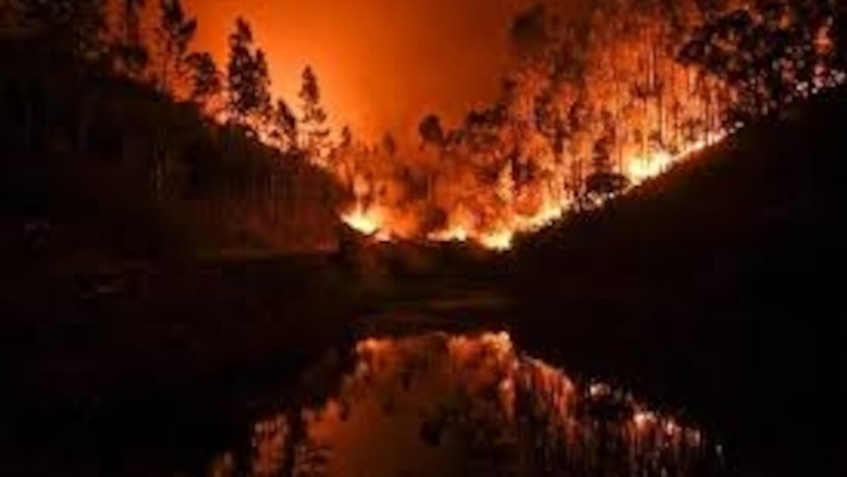 Feu de forêt dans la région de Leiria, dans le centre du Portugal le 18 juin 2017. 
