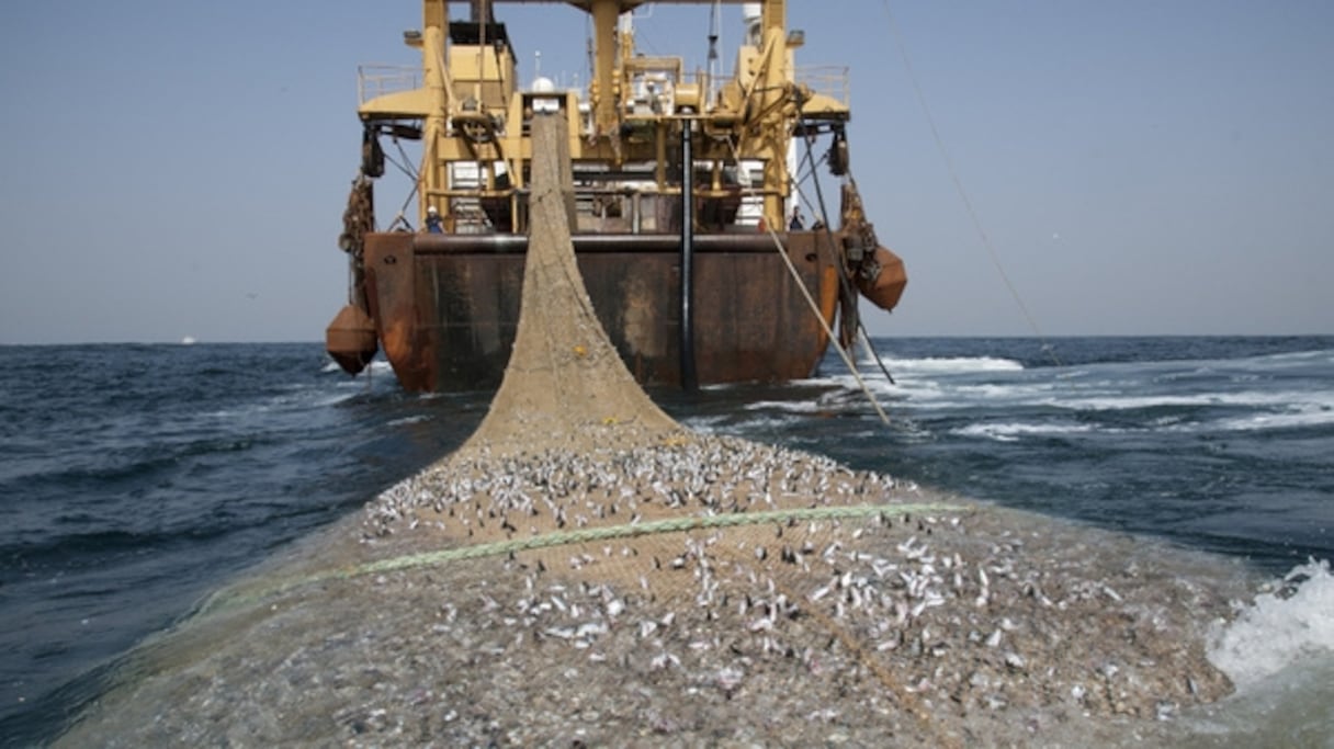 Un chalutier dans les eaux mauritaniennes. 
