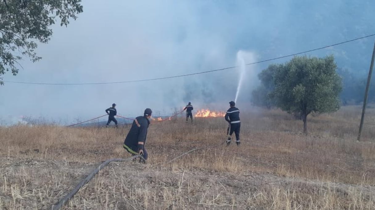 Les pompiers tentent de venir à bout des feux de forêt.
