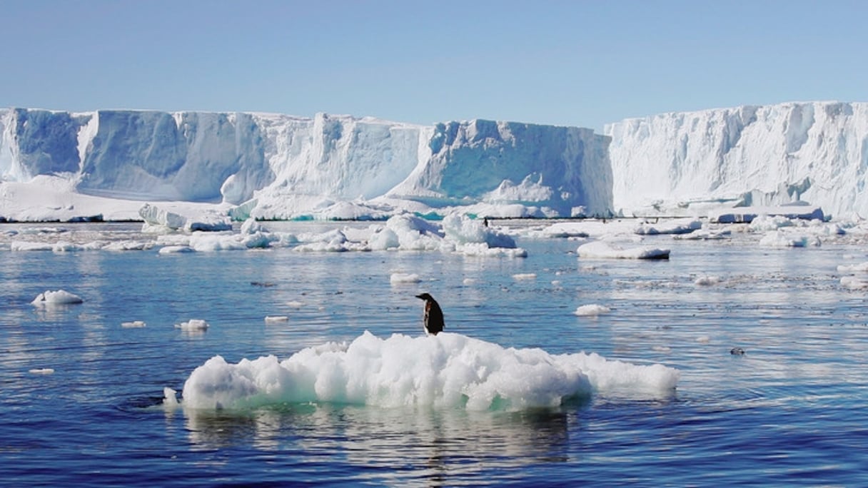 Du fait du changement climatique, le niveau de la mer continue inéluctablement d'augmenter. 
