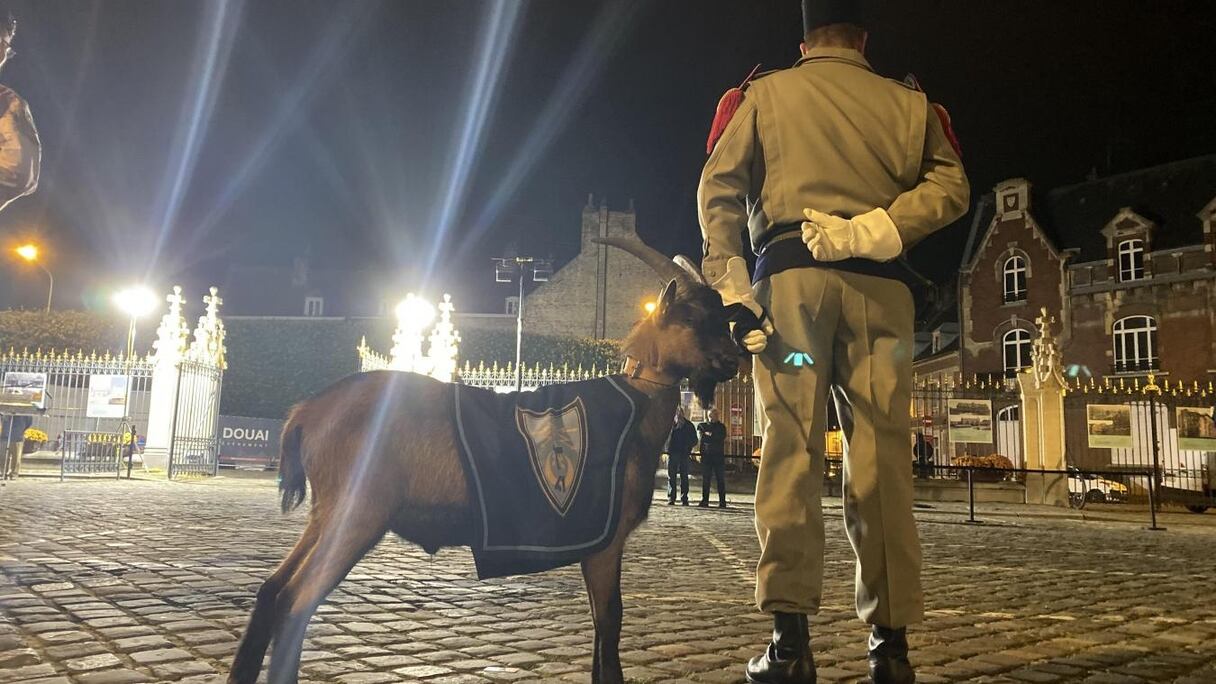Un bouc prénommé "Mansour" a été distingué, en hommage à un caporal marocain, lors des cérémonie du 14-Juillet, dans le nord de la France. 
