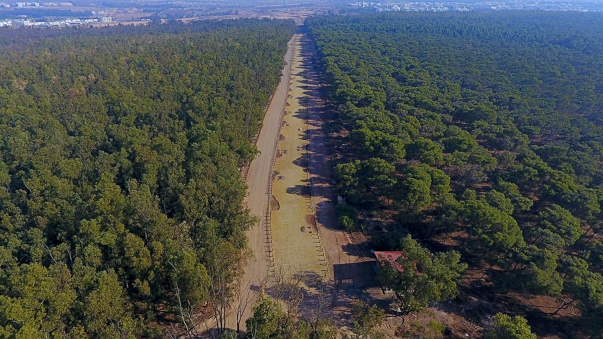 La forêt de Bouskoura.
