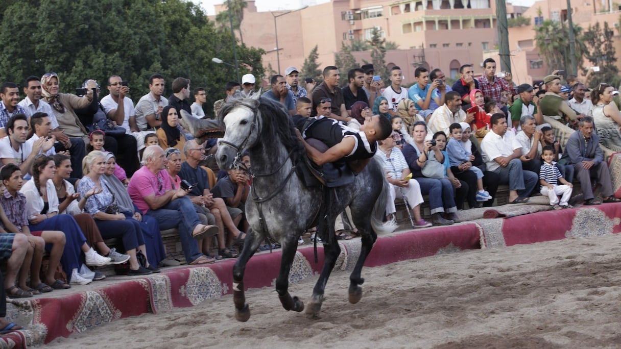 Les festivaliers n'en reviennent pas des prousses de ce cavalier époustouflant. 
