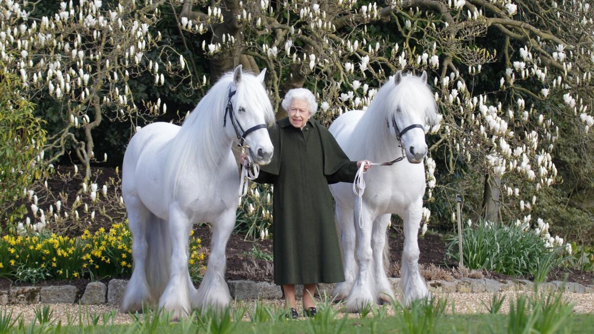 La reine Elizabeth II de Grande-Bretagne debout avec ses poneys Fell, Bybeck Nightingale (à droite) et Bybeck Katie (à gauche), à l'occasion de son 96e anniversaire (photographie non datée, publiée par le Royal Windsor Horse Show le 20 avril 2022). 
