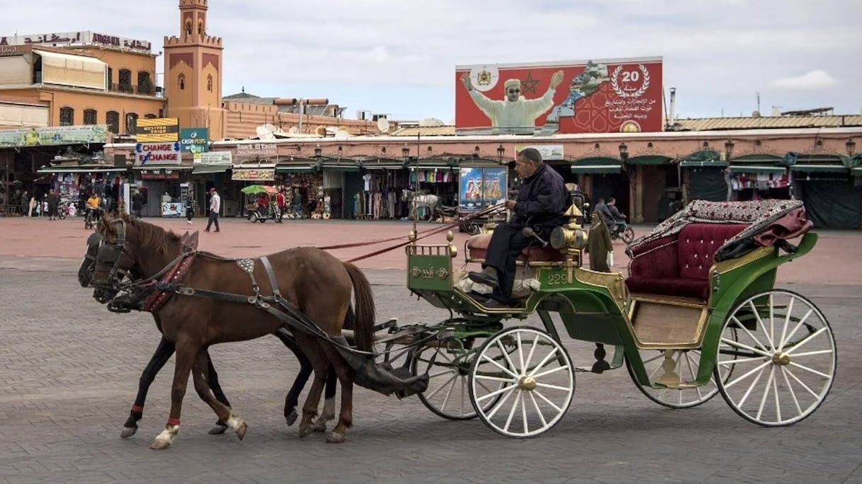 Marrakech.
