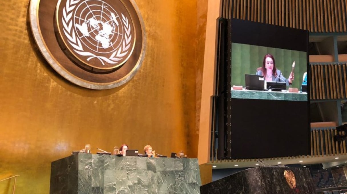 Lors de la séance de l'Assemblée générale de l'ONU consacrée à l'approbation du Pacte de Marrakech
