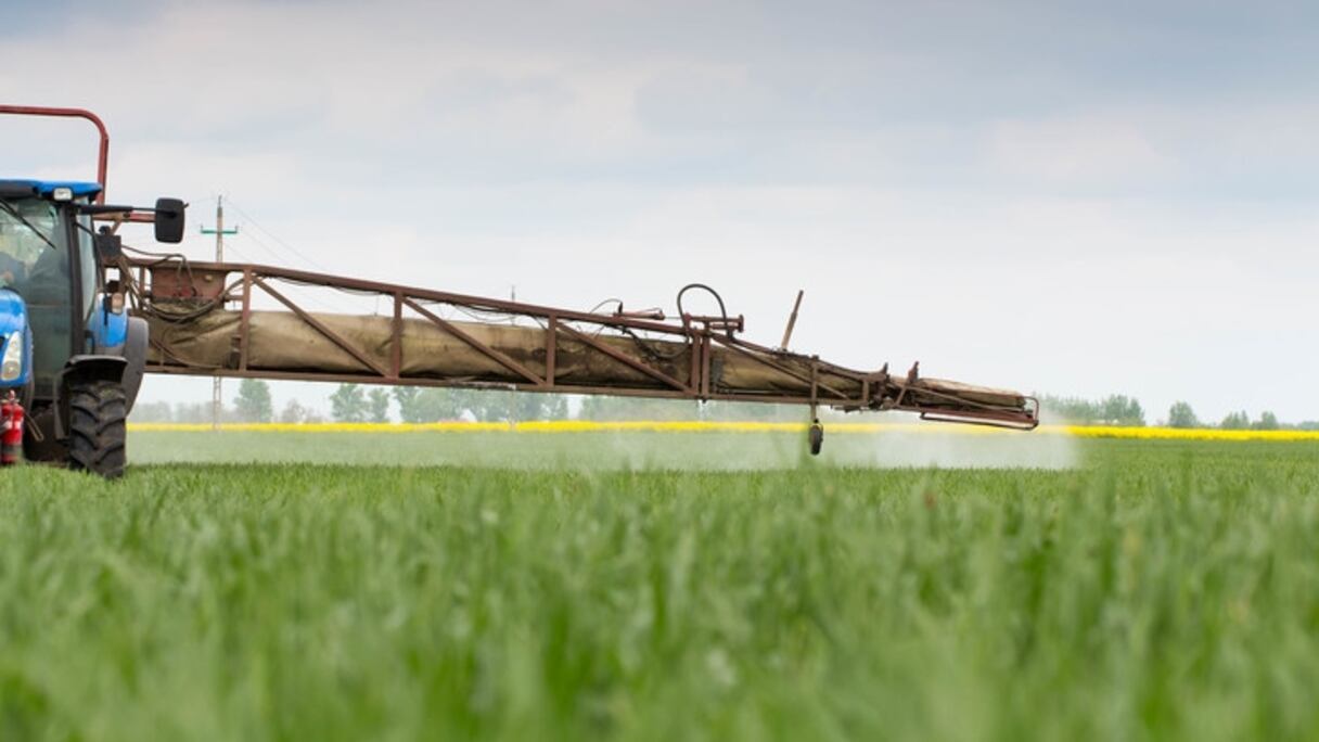 Utilisation de fongicide dans un champ 
