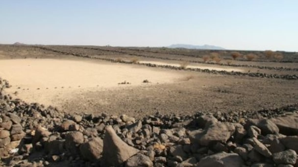 Photo non datée fournie par University of Western Australia montrant des structures de pierres mystérieuses dans le désert saoudien.
