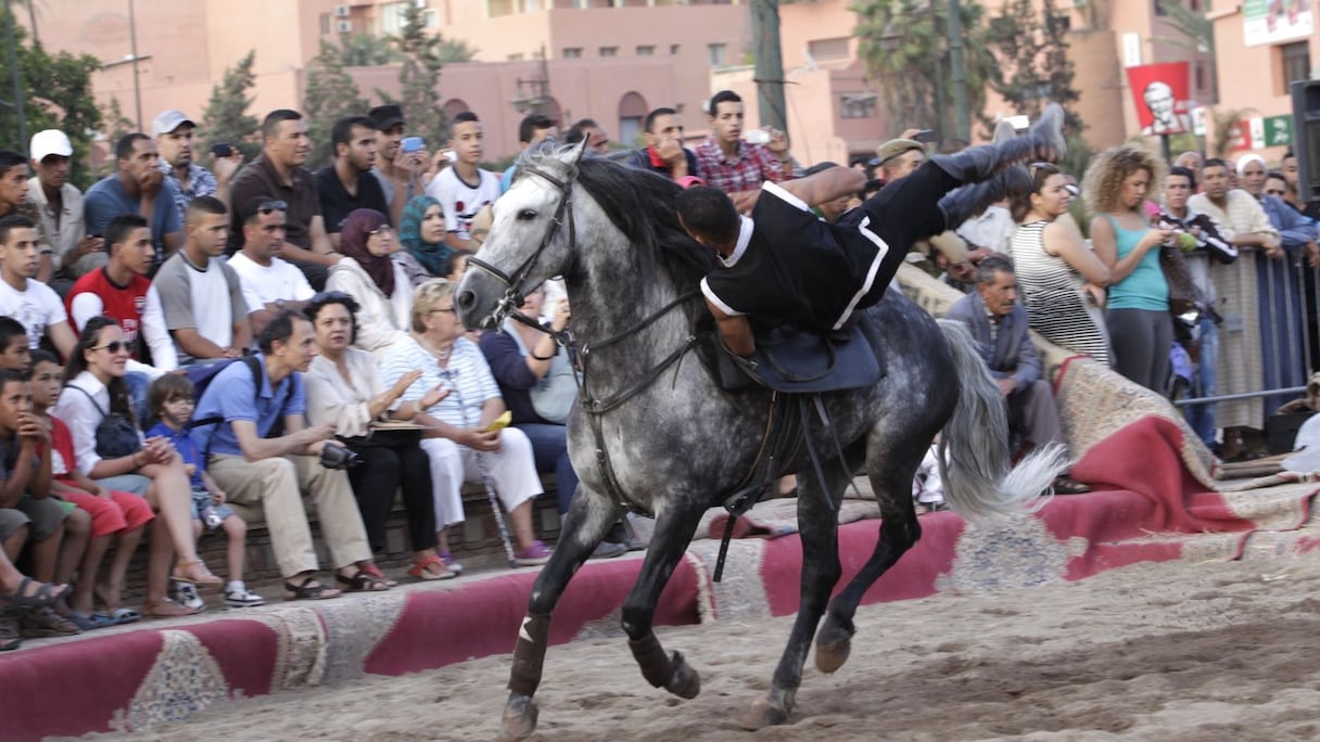 Le spectacle, grandiose, est à couper le souffle. La beauté sauvage de splendides chevaux, les prouesses acrobatiques d'un cavalier hors pair qui a été à bonne école avec Rédoine El Haoussa: les spectateurs sont littéralement subjugués. 
