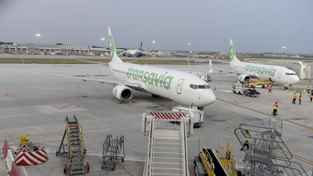 Deux Boeing 737-8K2 de la compagnie Transavia sur le tarmac de l'aéroport d'Orly à Paris, le 26 juin 2020. 
