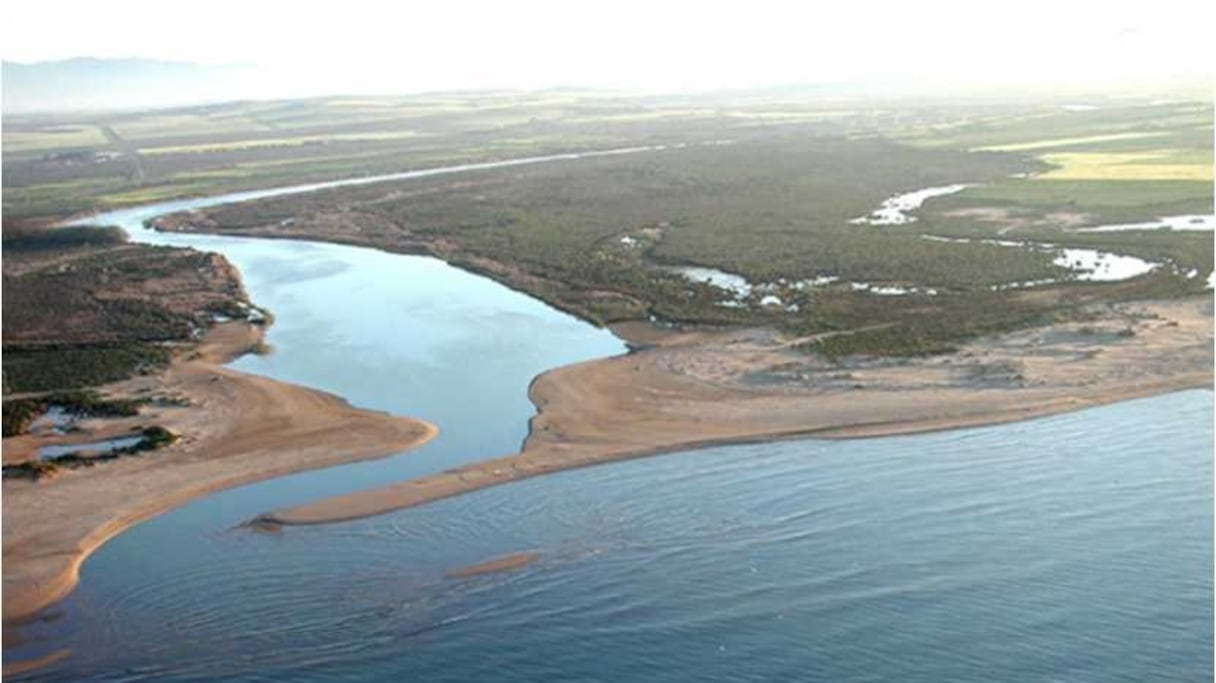 Embouchure de l'oued Moulouya, plaine de Kebdana, à l'extrême nord-est du Maroc (à 14 km de la frontière algéro-marocaine). Long de près de 600 km, cet oued prend sa source à la jonction entre les Haut et Moyen Atlas, à Almsid (près de Khenifra).
 
