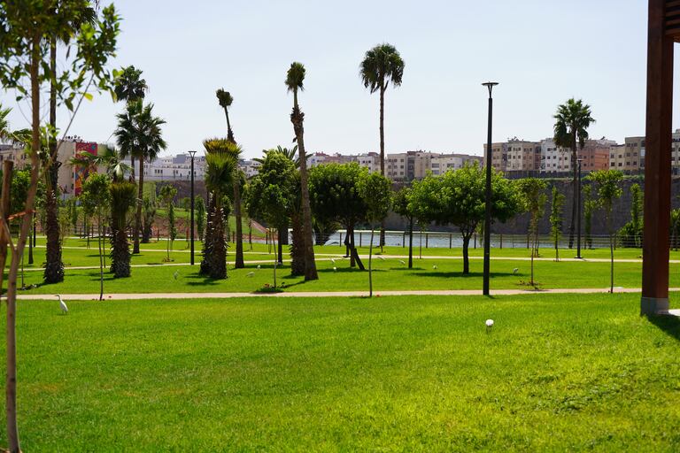 تحول ضاية الولفة إلى منتزه ترفيهي