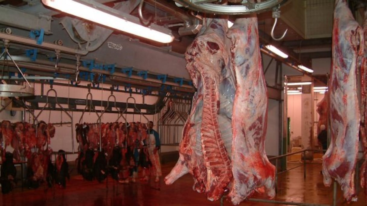 Abattoirs de Casablanca.
