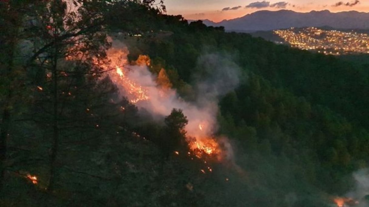 Une vue aérienne de l'incendie qui sévit près de M'diq, le 15 août 2022. 
