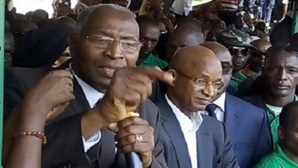 Bah Oury (vice-président) à côté de Cellou Diallo (président) de l'UDFG. 
