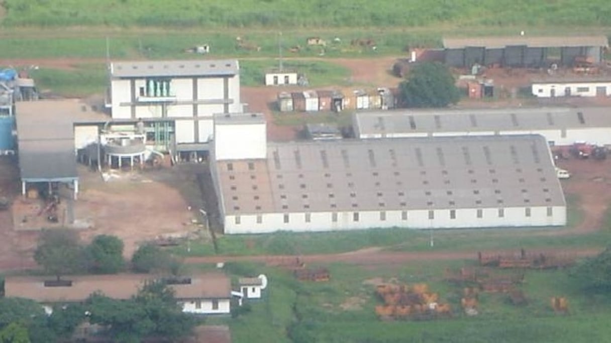 Vue aérienne de l'usine de Sucaf-Centrafrique, filiale du groupe Castel.
