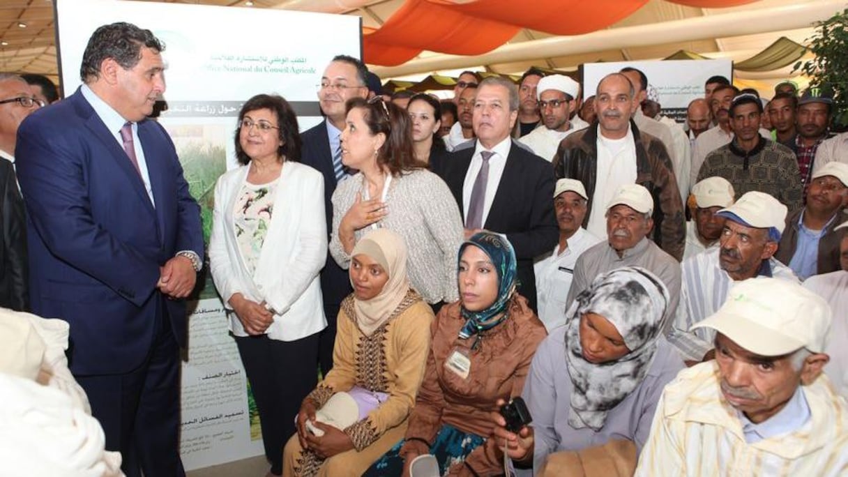 Bien plus qu'un fruit, la datte est tout un symbole. Portant les parfums des terres du sud, elle fait partie des plus importants des rituels familiaux et religieux au Maroc.
