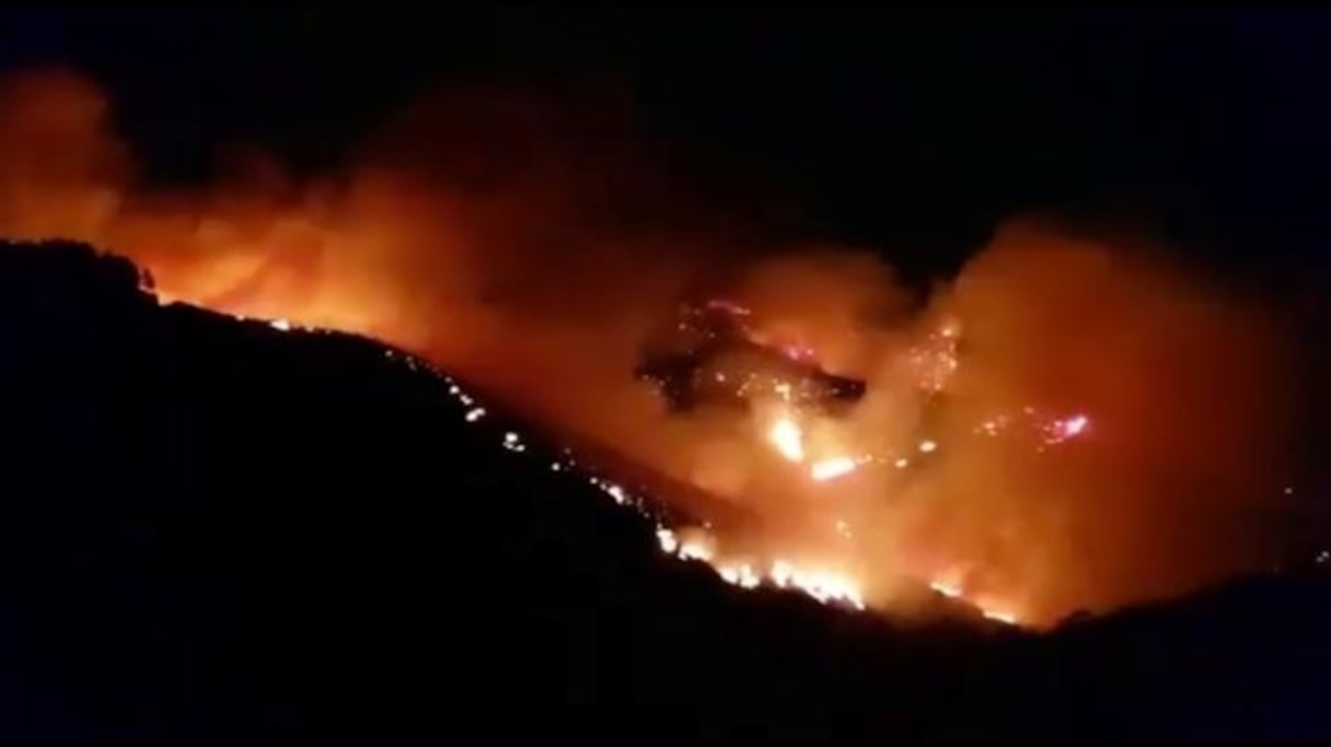 Incendie aux Canaries.
