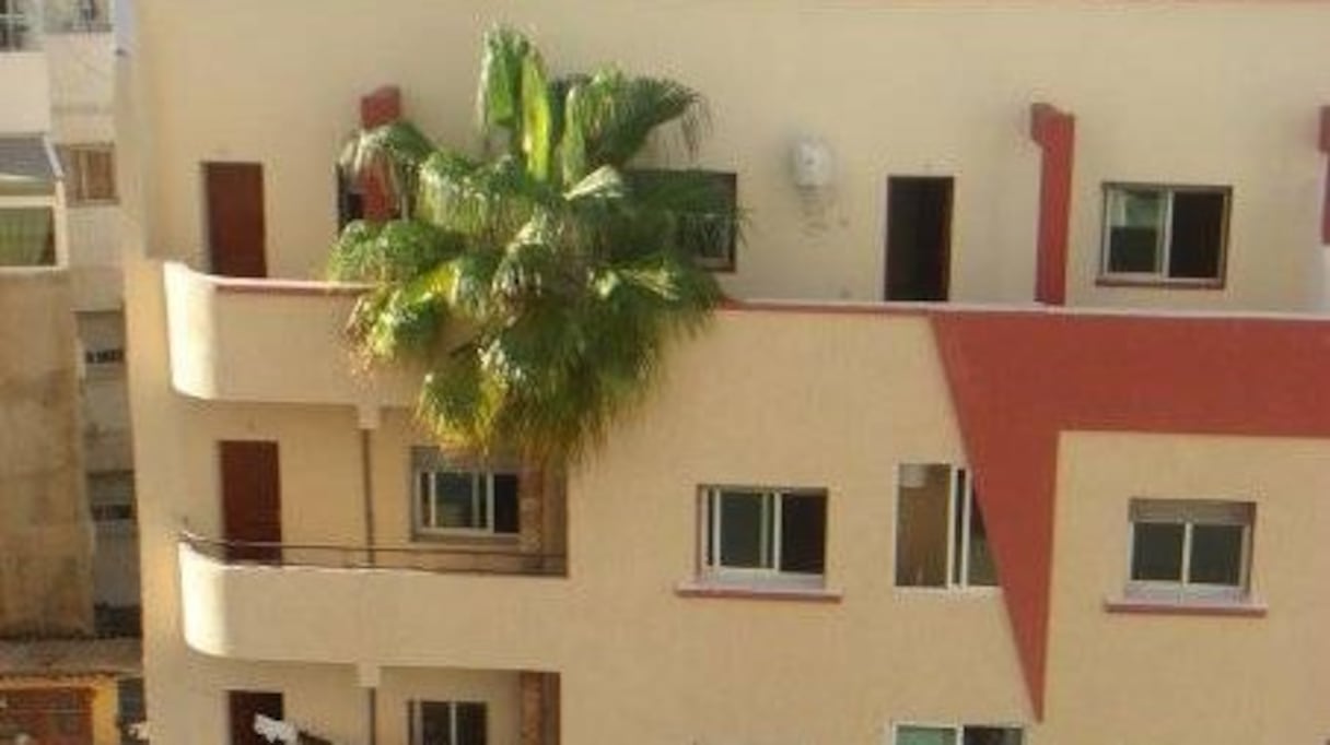 Un immeuble érigé en fonction d'un palmier qui va en traverser toute la façade pour éclore sur un balcon. Un peu envahissant pour le propriétaire du balcon, mais joli geste, aussi insolite que touchant, pour protéger un arbre. 
