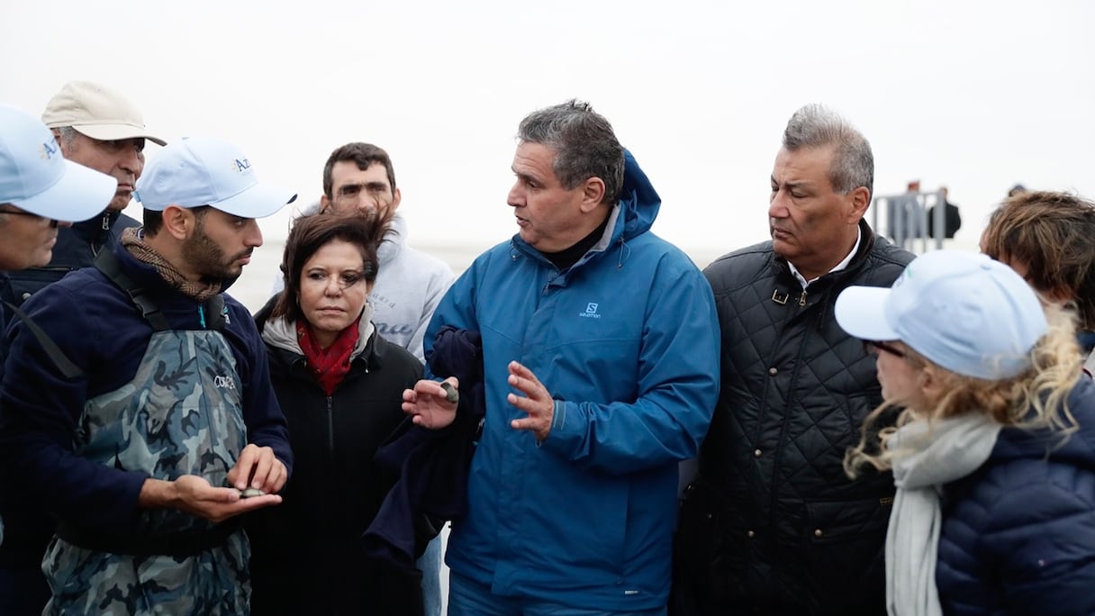 Lors de visites de projets d'investissement privé dans l'aquaculture effectués par Akhannouch à Dakhla.
