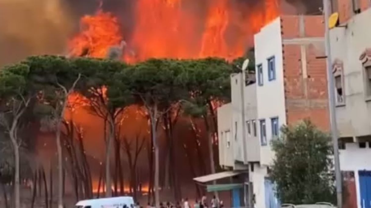 Les feux qui sévissent dans la fôret de La Hipica et à Khémis Sahel sont désormais aux portes de la ville de Larache.
