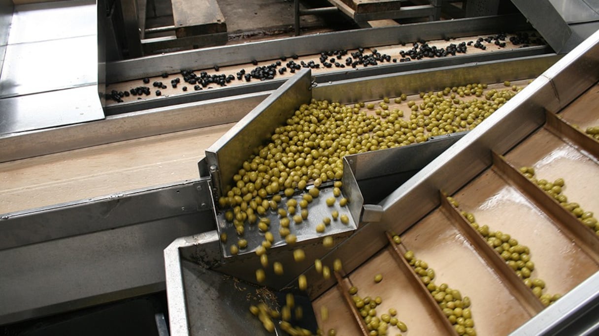 Unité de production de la société Cartier Saada, basée à Marrakech
