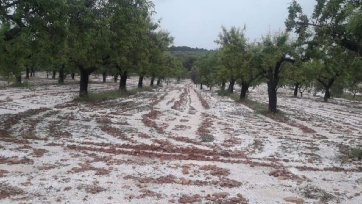 La région de Fès-Meknès a connu dans la soirée du samedi 6 juin 2020 une violente tempête de grêle.
