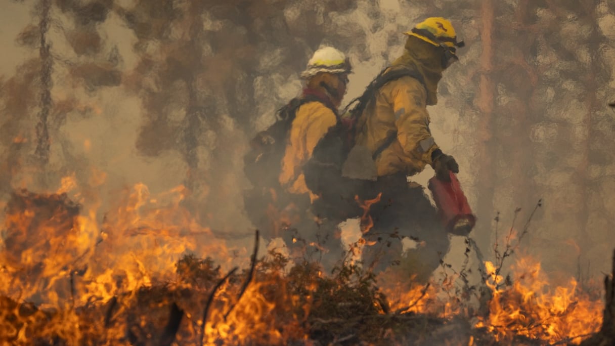 Des pompiers tentent d'éteindre l'incendie Oak Fire, près de Mariposa, en Californie, le 24 juillet 2022. Des milliers d'hectares sont partis en fumée.
