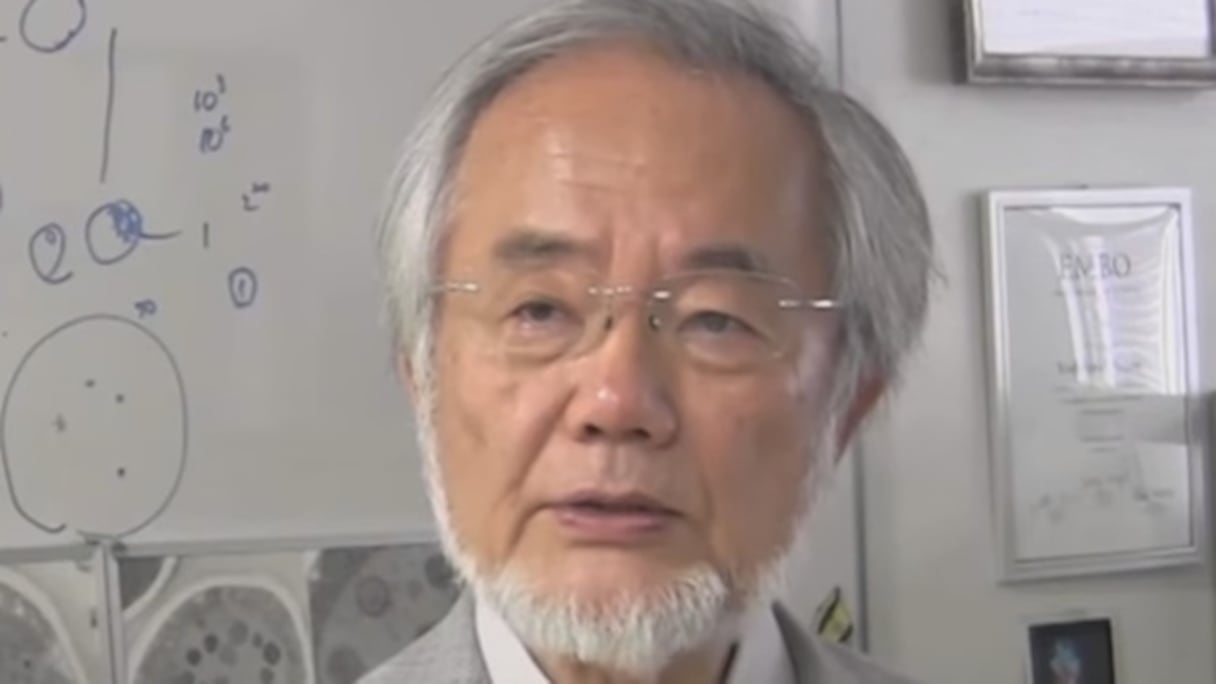 Le Japonais Yoshinori Ohsumi, prix Nobel de médecine 2016.
