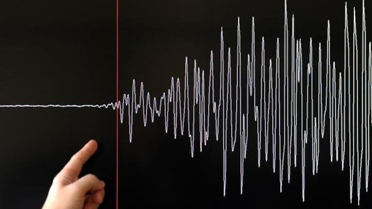 Tracé des mouvements tectoniques de la Terre par un sismographe. 
