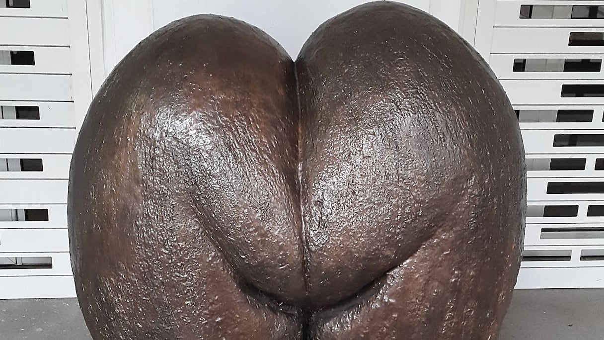 Coco-fesse. C'est le nom vernaculaire de la graine du cocotier de mer ou coco de mer (Lodoicea maldivica). Originaire des Seychelles, cet arbre très rare produit la plus grosse graine du monde, qui peut faire une vingtaine de kilogrammes: le coco-fesse, coco-jumeau, ou coco indécent.
