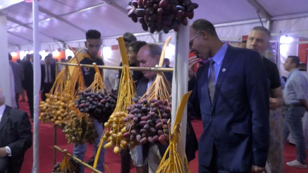 La 17ème édition de la foire des dattes de Taghjijt, organisée sous le signe «les oasis du Sud et les enjeux du nouveau modèle de développement», connaît la participation de 110 associations.
