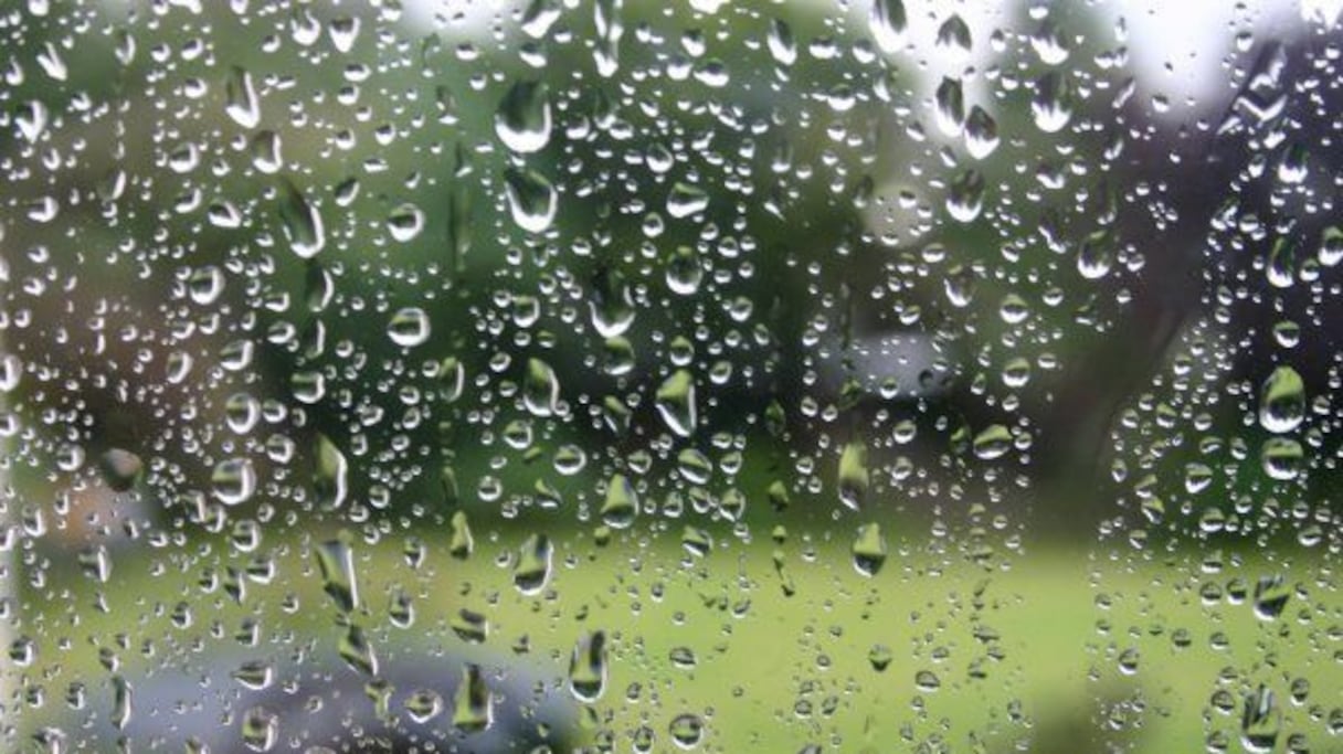 Un ciel gris et pluvieux est attendu ce 1er novembre.
