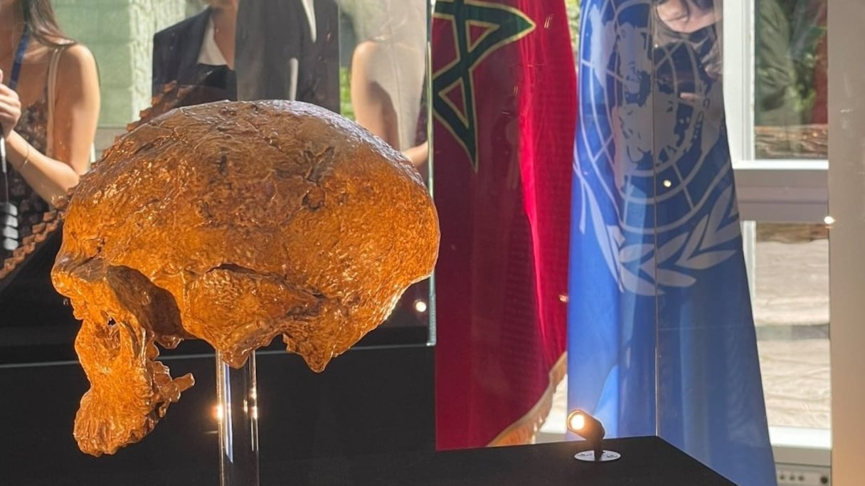 Un crâne présenté lors de l'exposition et du colloque international sur «la portée universelle du patrimoine préhistorique du Maroc», au siège de l'UNESCO à Paris, vendredi 17 juin 2022.
