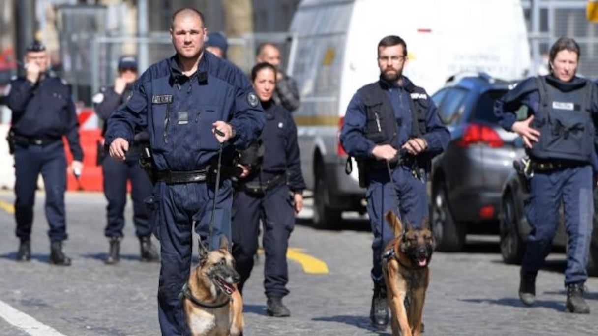 Le parquet anti terroriste a été saisi. 
