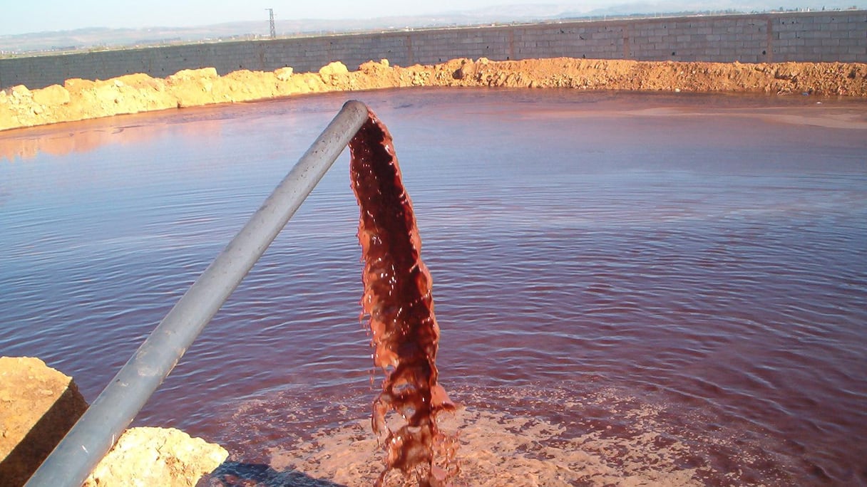 Les margines polluent la nappe phréatique.
