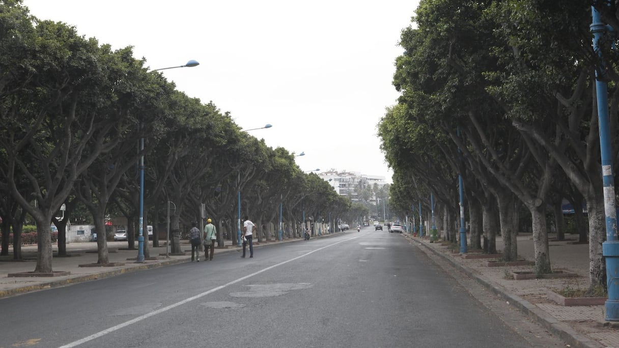 Calme et sérénité au parc de la Ligue arabe 
