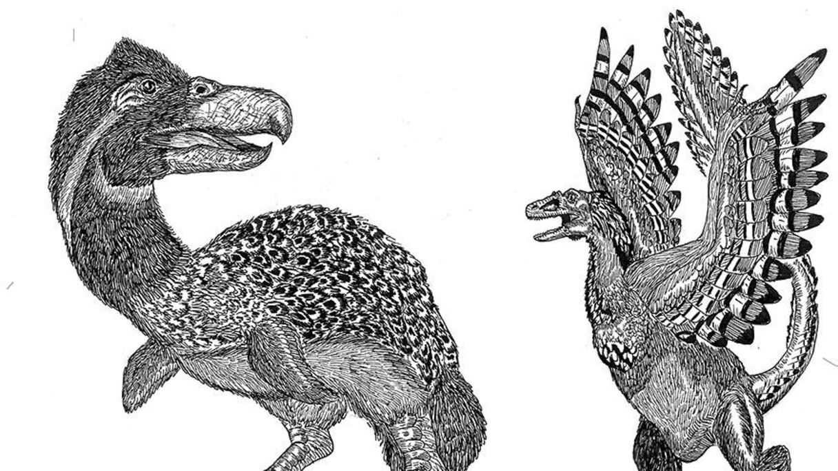Au règne des dinosaures.
