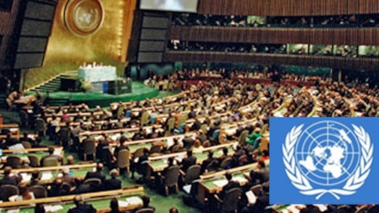 Assemblée générale de l'ONU.
