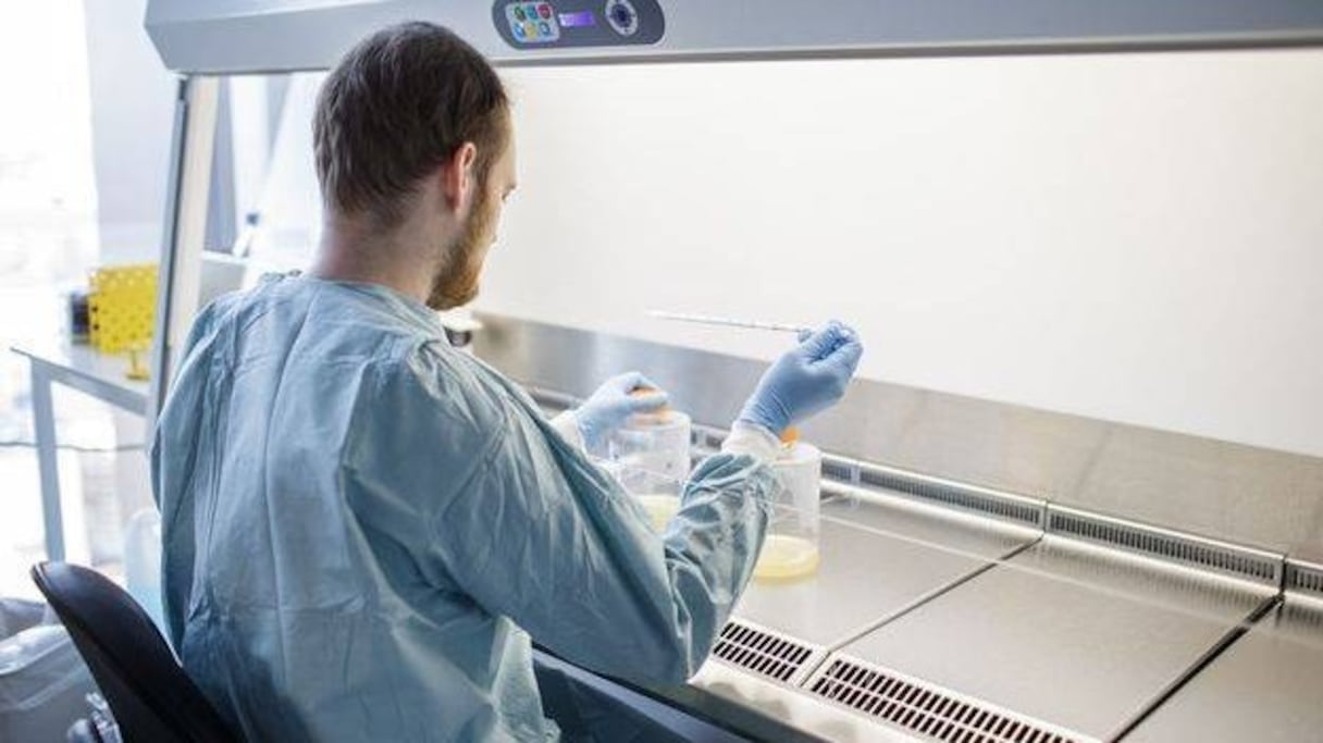 Un consortium de laboratoires pour traquer les variants du Covid-19.
