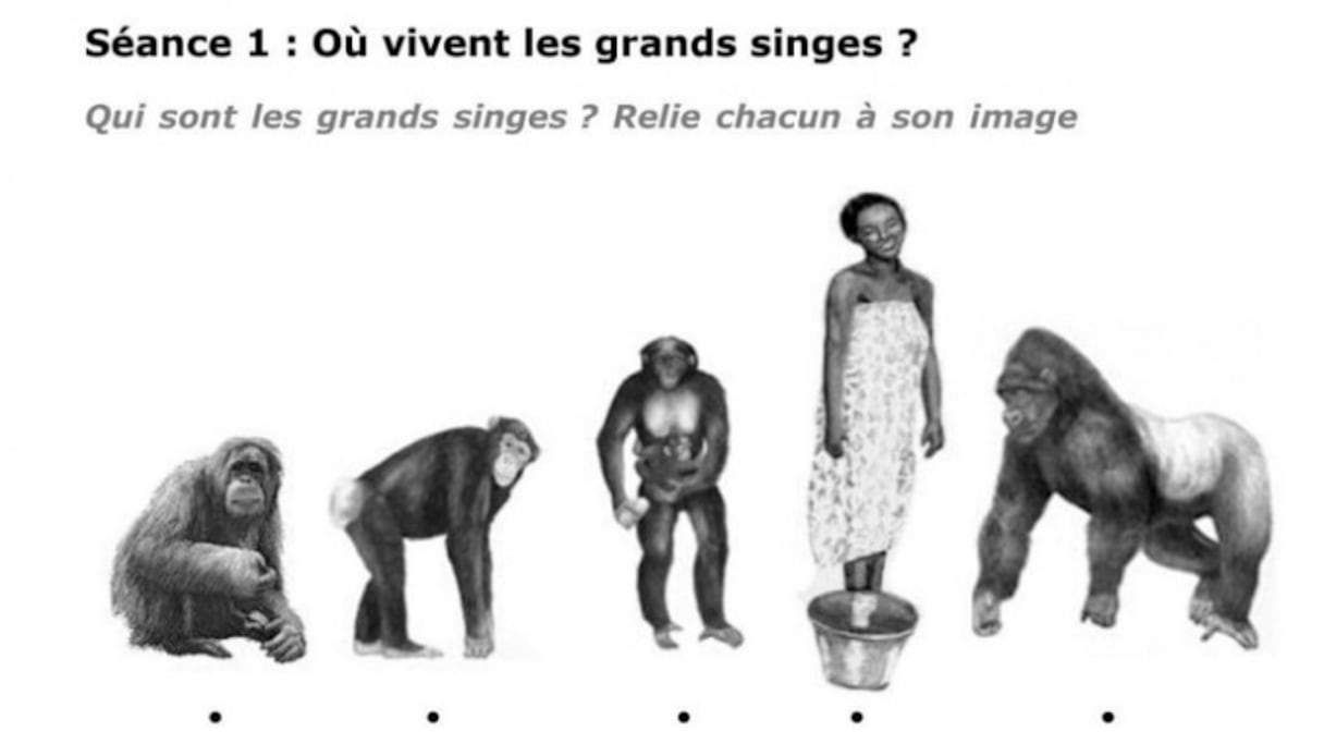 Illustration d'un excercice de sciences en classe de CM2 dans une école française de Casablanca.
